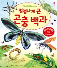 엄청나게 큰 곤충백과